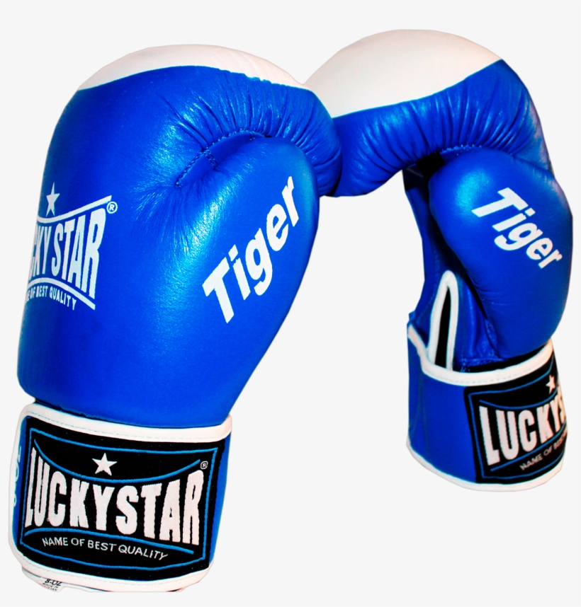 Lucky Star Boxing Gloves Leather “tiger” Blue - Professional Boxing, transparent png download