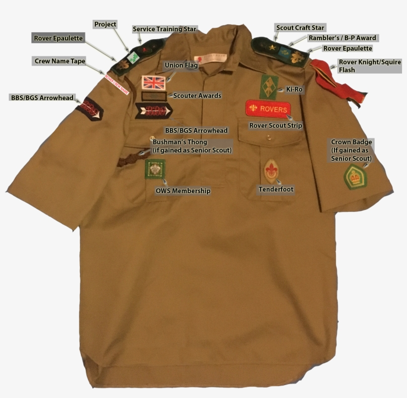 Ows Scout, transparent png download