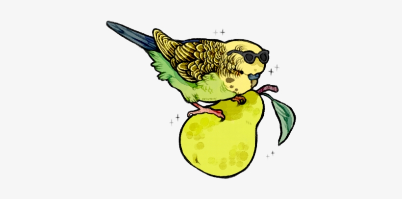 Parakeet On A Pear With A Pair Of Sunglasses - Cartoon, transparent png download