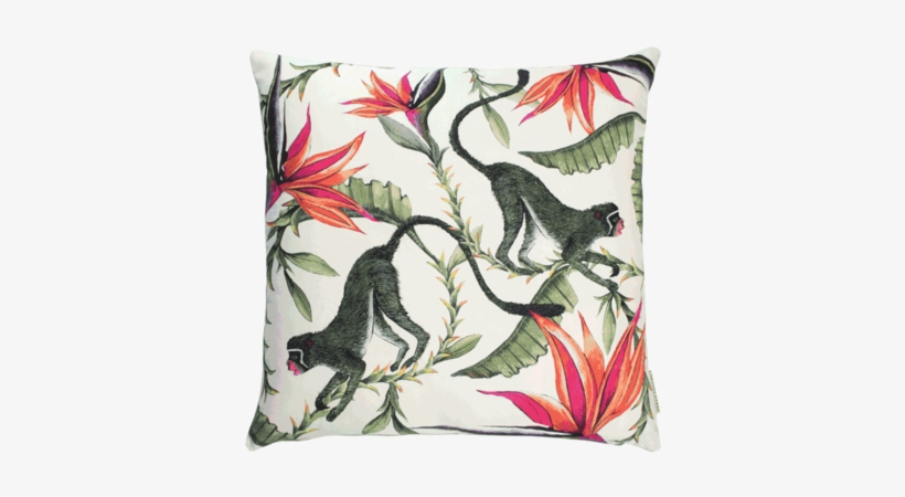 Cushion, transparent png download