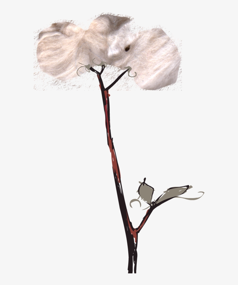 Hopefully Emily And I Will Be Taking Another Visit - Portable Network Graphics, transparent png download