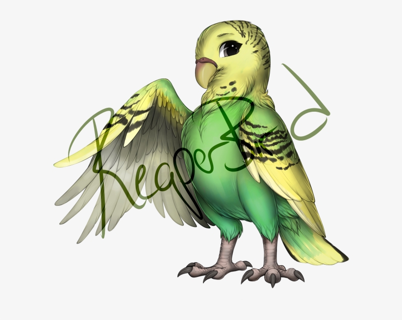 Female Green Budgie - Portable Network Graphics, transparent png download