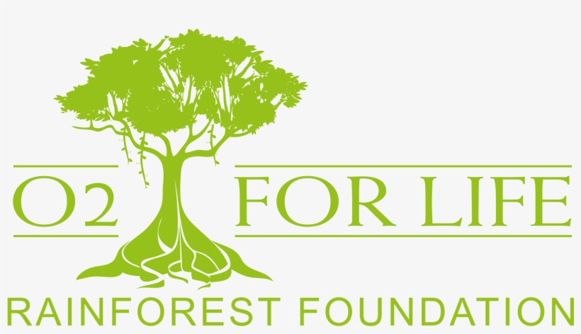 Rainforest Foundation Fund, transparent png download