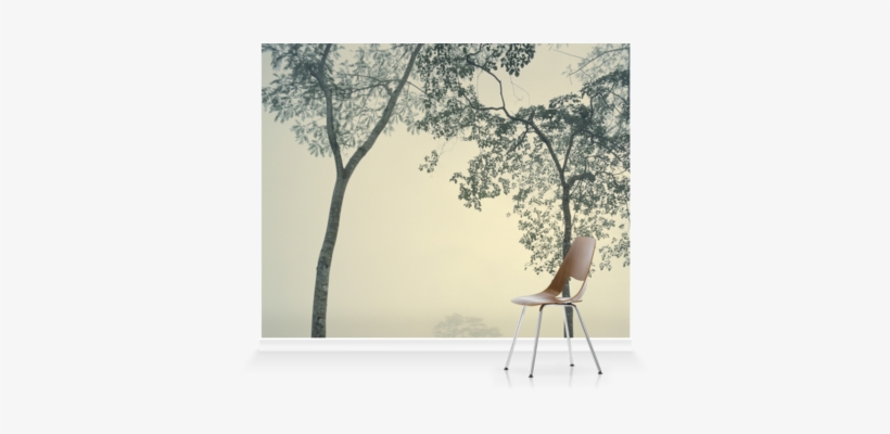 Murals Of Rainforest, Papua New Guinea By Trunk Archive - Window Film, transparent png download