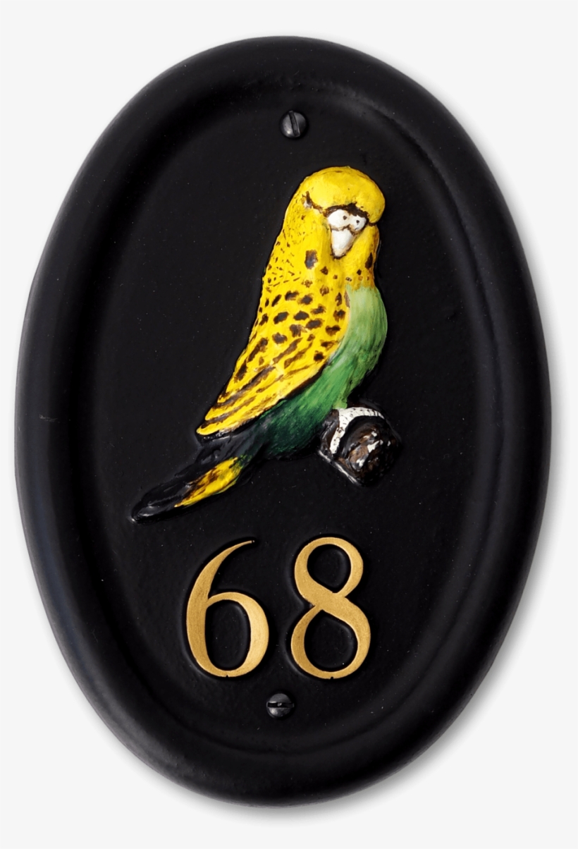 Budgie, transparent png download