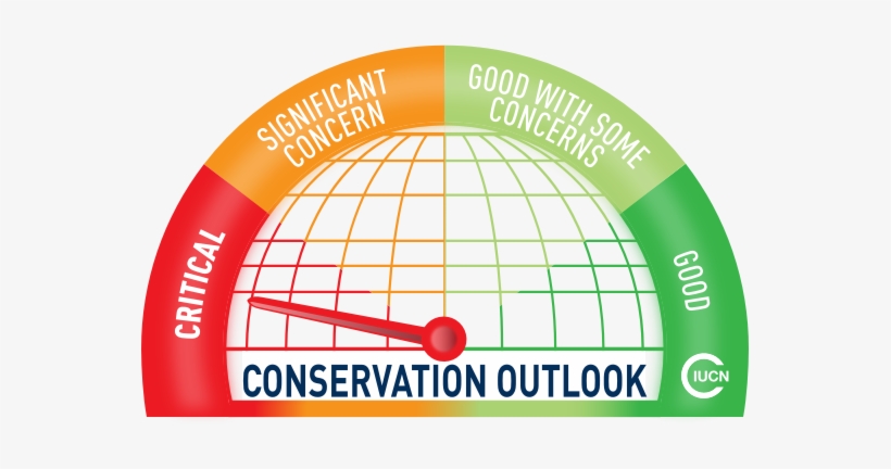 Rise Of Social Networking Ad Transparent PNG - 594x394 - Free Download ...