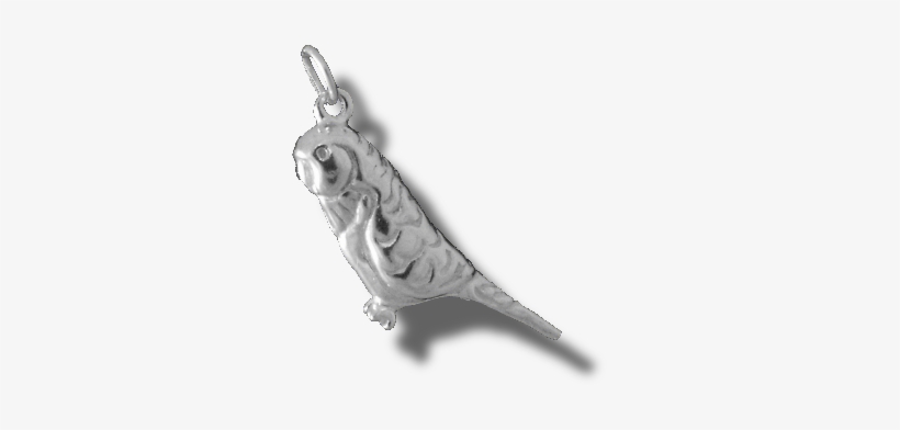 Sterling Silver Budgie Charm [031] - Silver, transparent png download