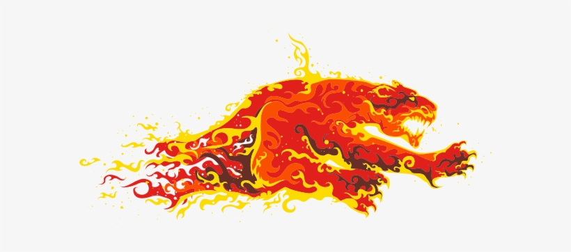 Fire Cat - Pny 480 Gb Internal Ssd - 2.5" - Xlr8 Cs2111 - Sata, transparent png download