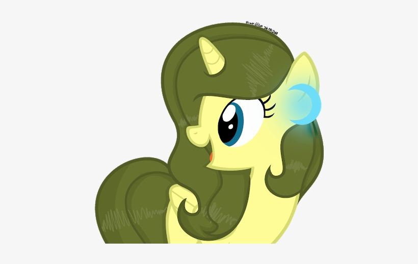 Photo - Photograph, transparent png download