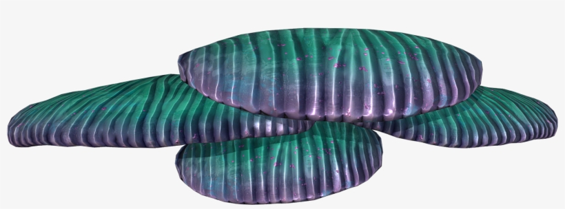 Twisty Bridges Shelf Coral Fauna - Fauna, transparent png download