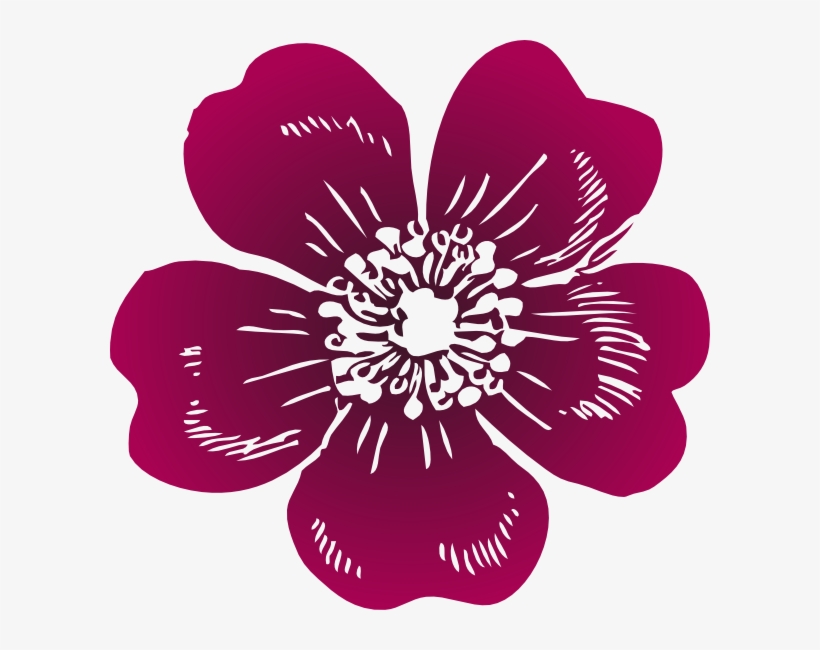 Wild Rose Clip Art - Wild Rose Clipart, transparent png download