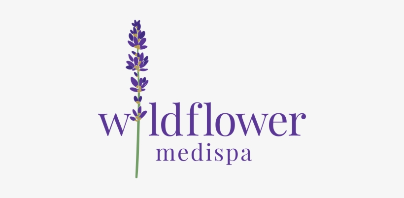 Flower Gardens And More [book], transparent png download