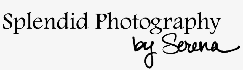 central Wisconsin Children's Museum 1100 Main Street - Lorenz Tidings Of Comfort And Joy, transparent png download