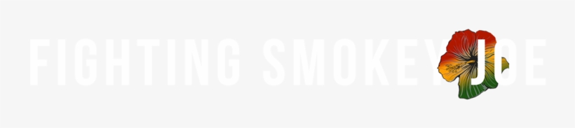 Hawaiian Hibiscus, transparent png download