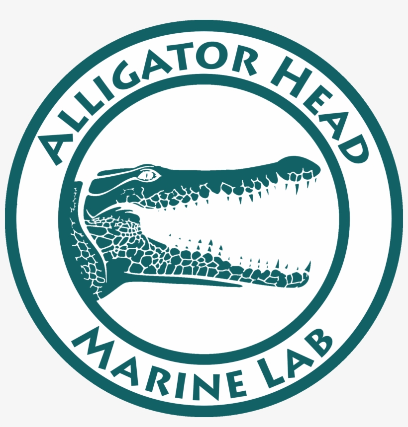 The Alligator Head Marine Lab, Established In March - National University Of Mongolia Png, transparent png download