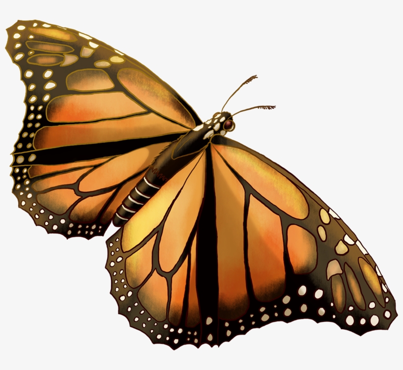 Monster Monarch Is A Fictional Character Of Humans, transparent png download