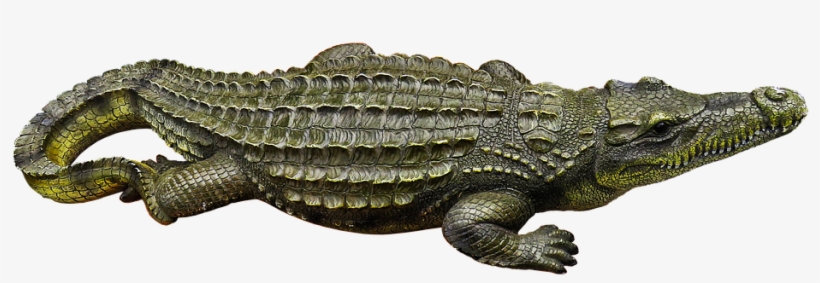 Crocodile, Metal Figure, Art Figure, Horticulture - Crocodile, transparent png download