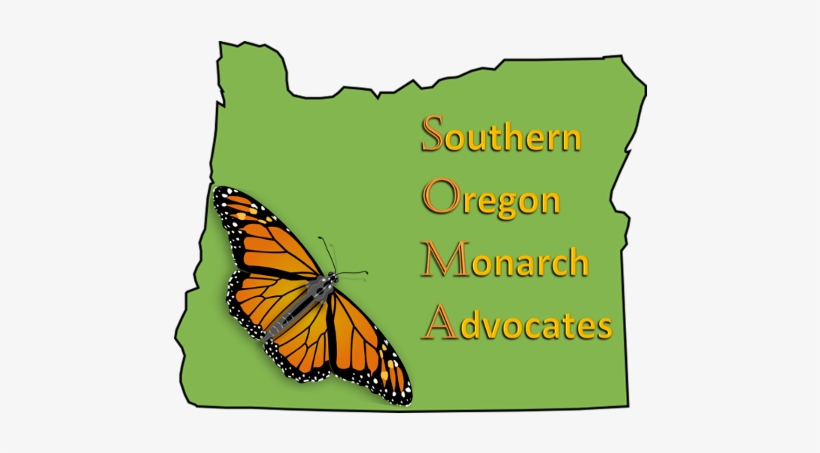 Responsible Controlled Monarch Rearing For Release - They Weren't Butterflies: A Monarch Survivor's Story, transparent png download