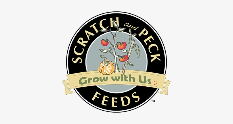 Scratch And Peck Feeds Grow With Us - Logo Universitas Diponegoro Semarang, transparent png download