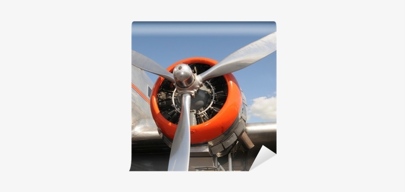 Photograph, transparent png download