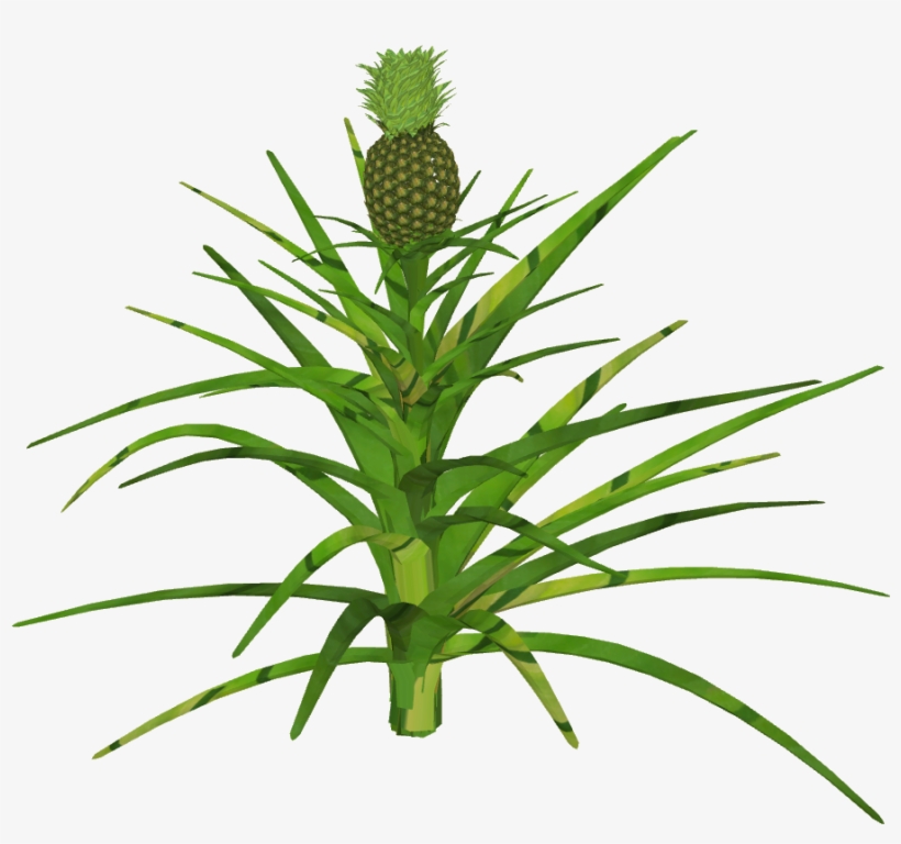 Pineapple, transparent png download