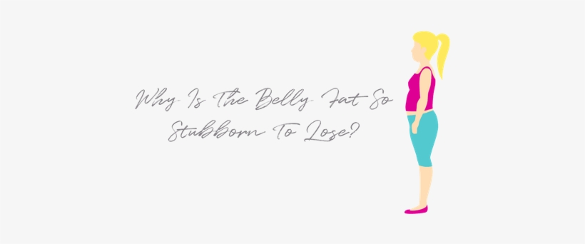 Why Is The Belly Fat So Stubborn To Lose - Blog, transparent png download