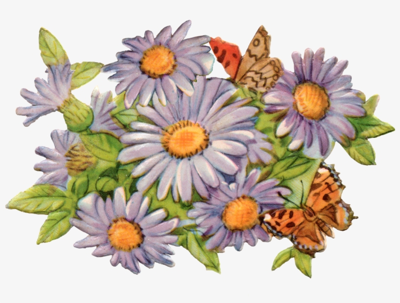 Lovely Lavender Flowersmaybe Daisies - Portable Network Graphics, transparent png download