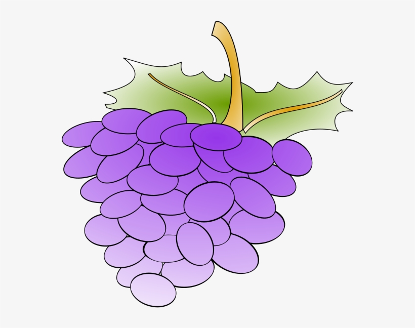 Grapes Png Images, transparent png download