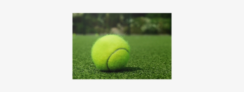 Paddle Tennis, transparent png download