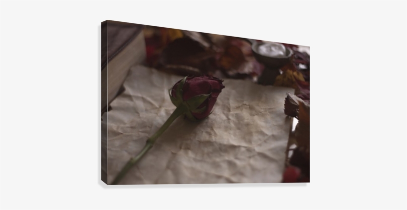 Empty Old Paper With Rose And A Candle And Bible On - Printing, transparent png download