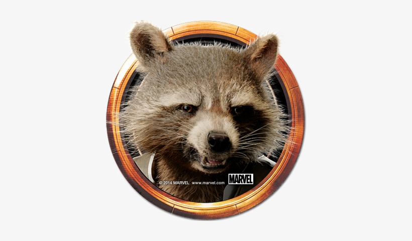 Guardiansofthegalaxy Avatar Rocket - Marvel Cinematic Universe Phase 4 Rocket Raccoon, transparent png download