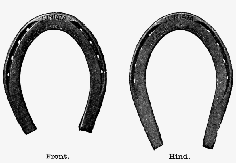 Horse Shoe Free Horseshoe Clip Art Images Clipartfest - Horseshoe, transparent png download