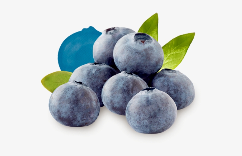 Ready For Recipe Inspiration - Driscoll's Blueberry, transparent png download