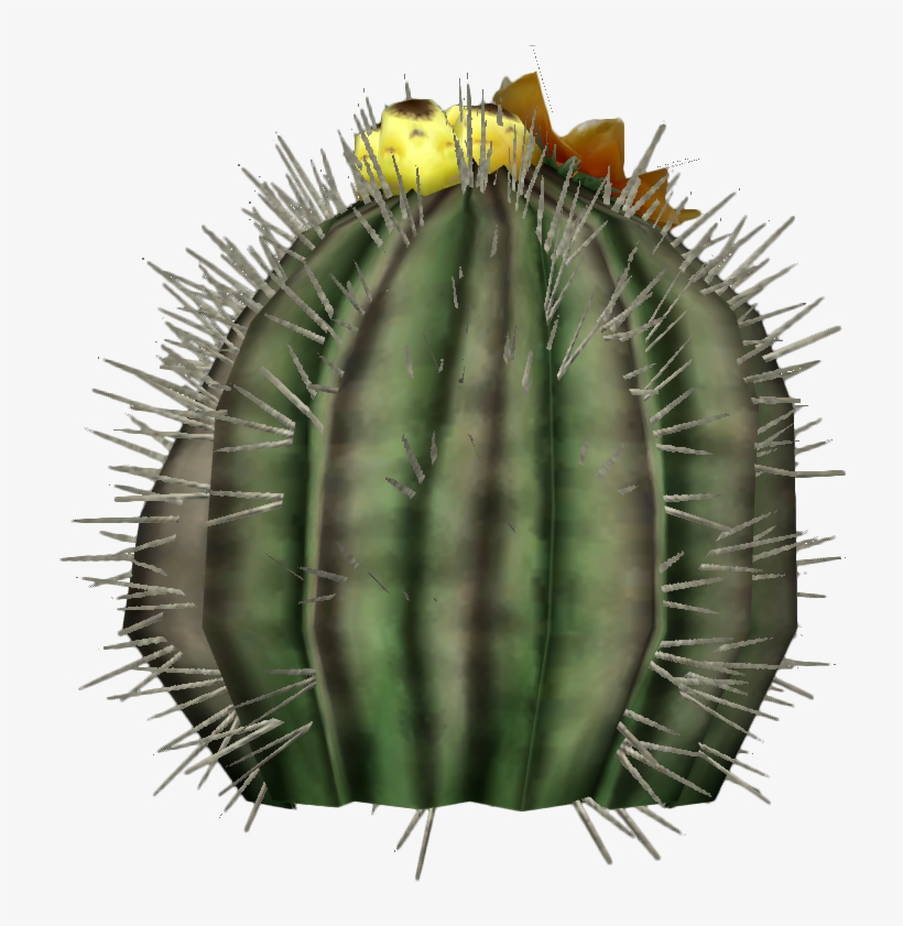 Barrel Cactus Plant - Echinocactus Platyacanthus Png, transparent png download