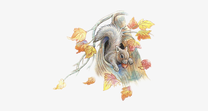 205k Goldfinchsunflower 29 Nov 2008 - Illustration, transparent png download