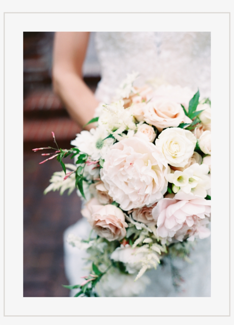 Home Gallery Blush - Jpeg, transparent png download