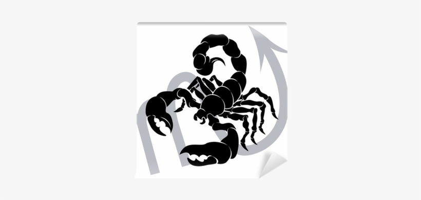 Scorpio Zodiac Horoscope Astrology Sign Wall Mural - Scorpio Horoscope Astrology Canvas Print, Picture Frame, transparent png download