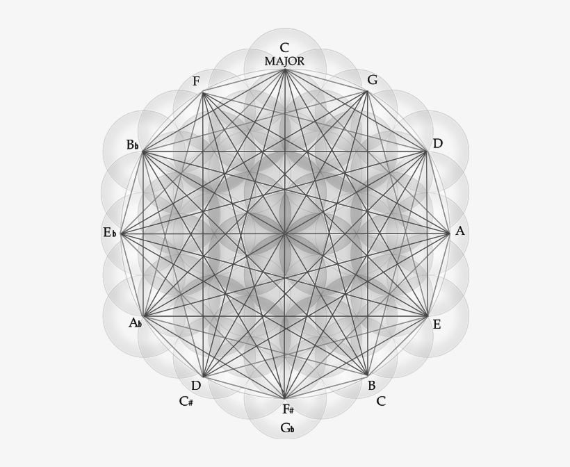 Photo - Photograph, transparent png download