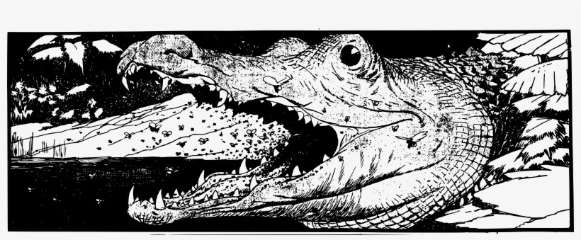 This Free Icons Png Design Of Alligator Head, transparent png download