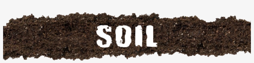Plant Cultivation In Natural Media Soil Coco, transparent png download