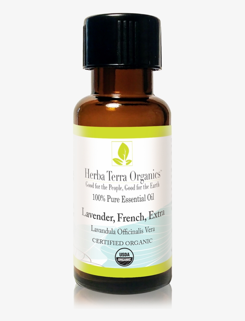 Usda Certified Organic Extra French Lavender Essential - Essential Oil, transparent png download