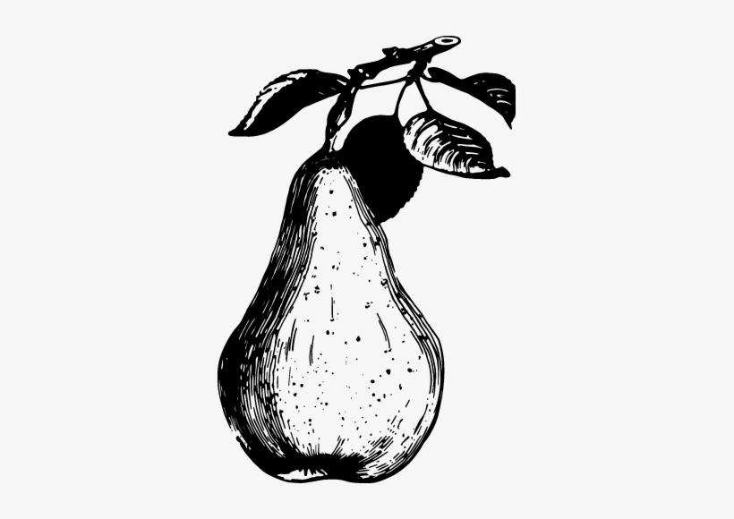 Png - Poire Williams, transparent png download