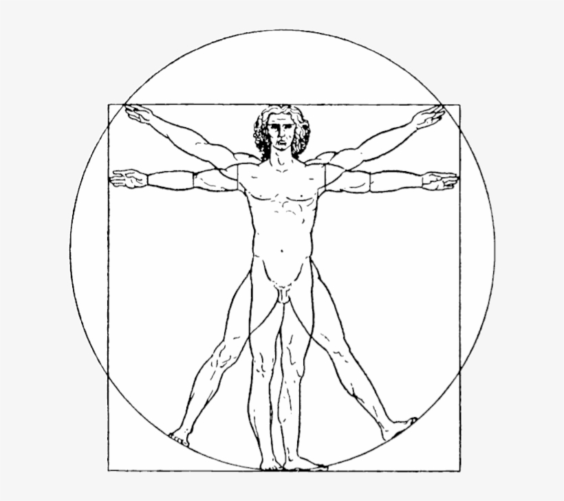 Being Passionate About Shape, Fit And Sizing Often - Geometria En El Cuerpo Humano, transparent png download