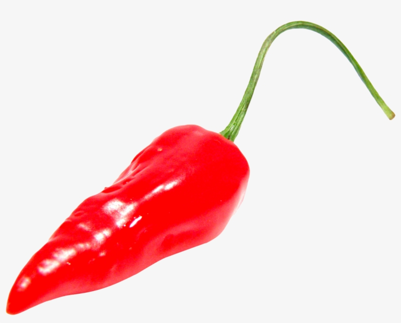 Yükle Chili Con Carne Bell Pepper Chili Pepper Portable - Chilli Pepper Png, transparent png download