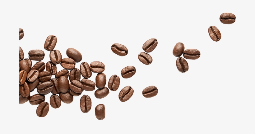 Estate-grown Kona Coffee - Photograph, transparent png download