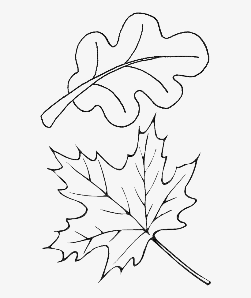 Index Of /wp - Autumn Coloring Page Leaves, transparent png download
