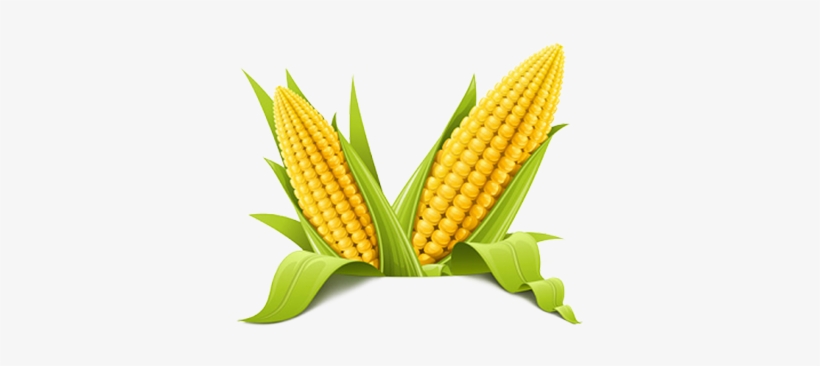 Corn-png - Corn Png, transparent png download