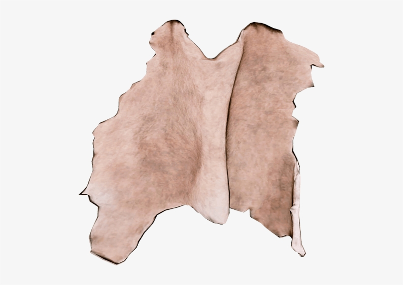 Wiki, transparent png download