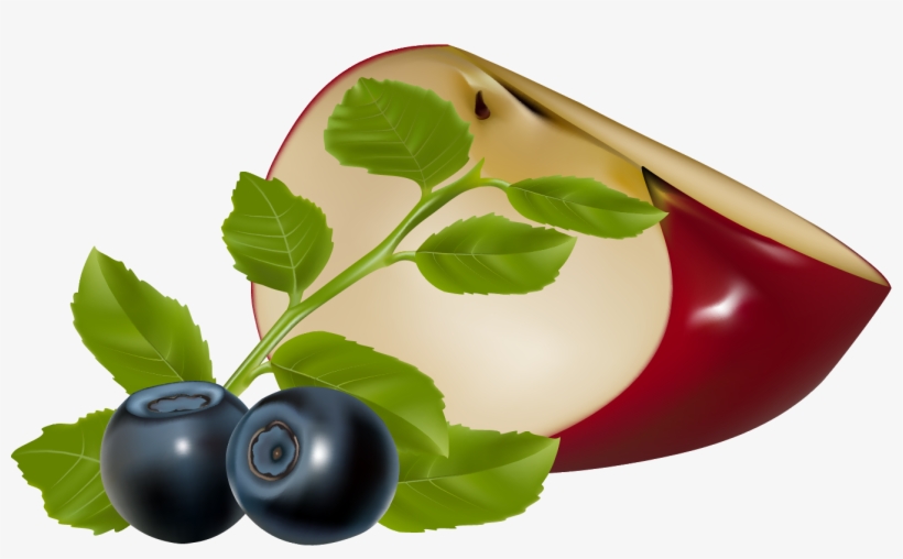 Free Download Hoja Arandano Clipart Blueberry Bilberry - Blueberry Vector, transparent png download