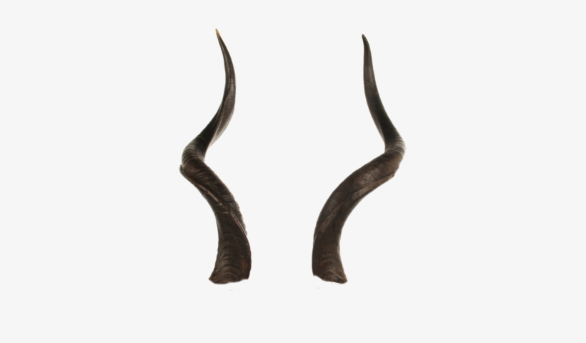 Your “finally Games That Matter ” Wednesday Open Thread - Horns With Transparent Background, transparent png download